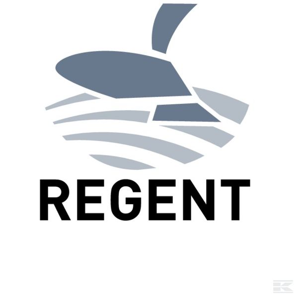 Запчасти для Regent