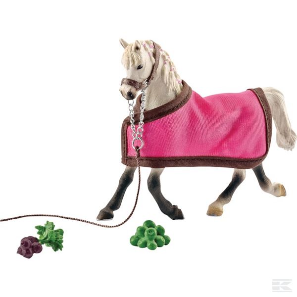 41447SCH Arabian horse mare with blanket