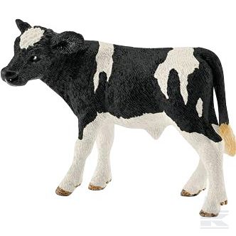+13798SCH Calf Holstein