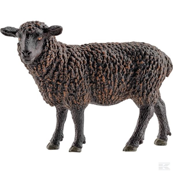 13785SCH овца