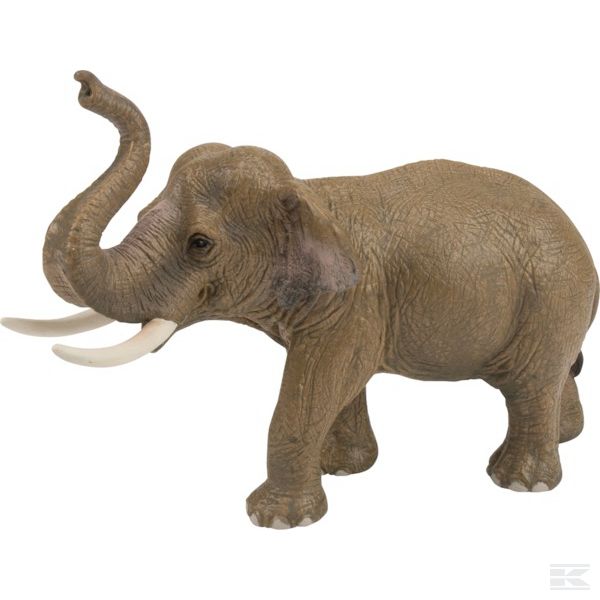 14653SCH Азиатский слон