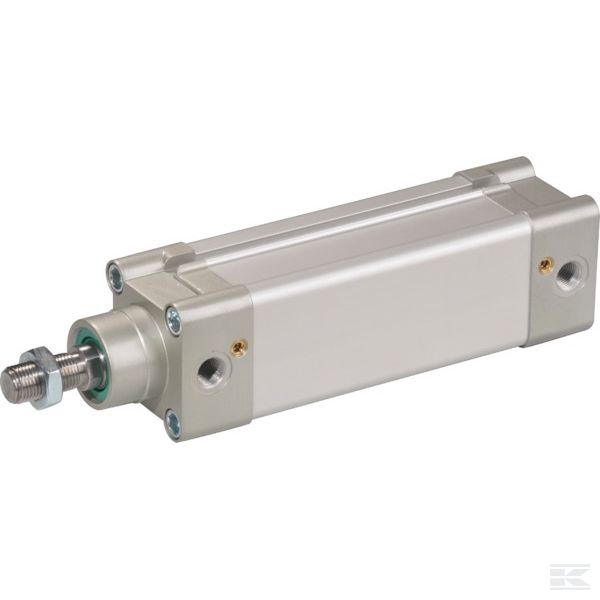 DN125100CM Стандартный цилиндр