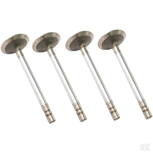 VPA1382 +Inlet valve