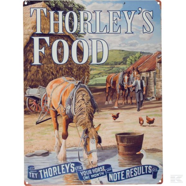 TTF0123 Табл. Thorley's Food - Лошадь