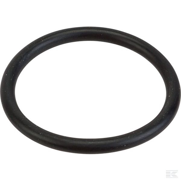 UD110107 +O-Ring 34,52x3,53 (rif.4137)