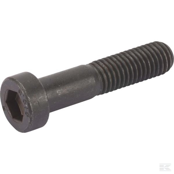69121045 Винт с пл.гол.с вн.6-гр.M10x45