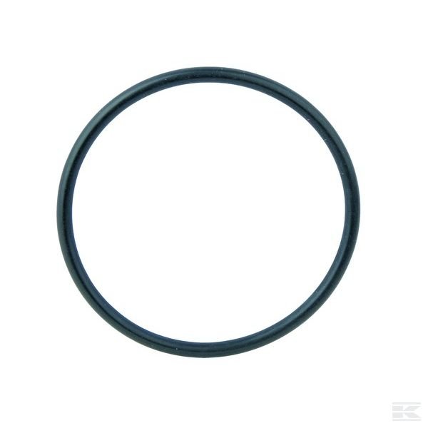 100552A1 Уплотнительное кольцо CNH