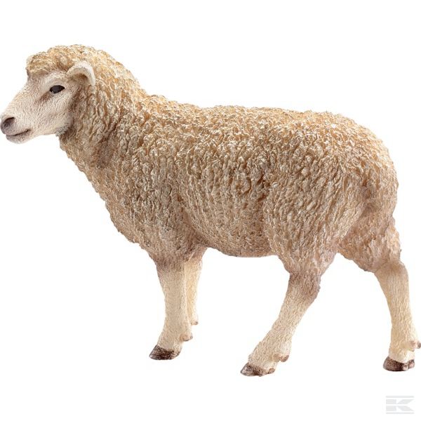 13743SCH Овца