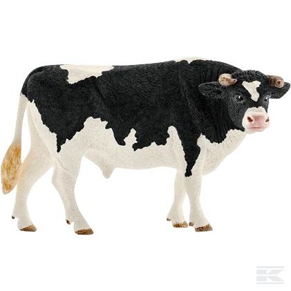 13796SCH +Holstein bull