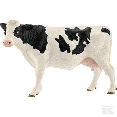 13797SCH +Holstein cow