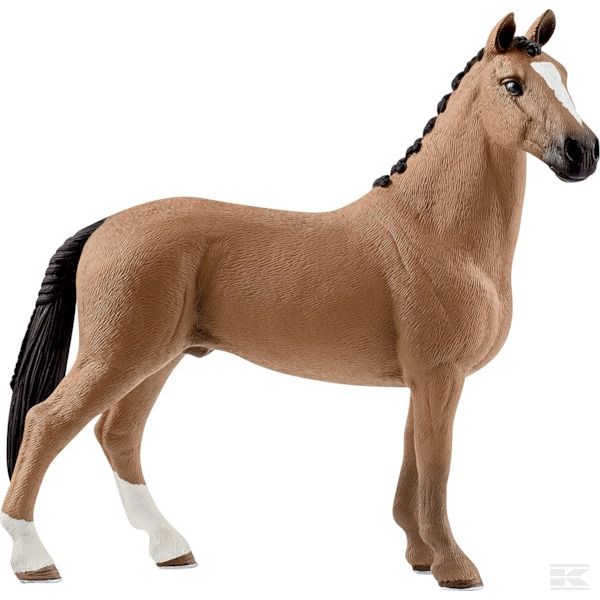 13837SCH +Hanoverian gelding