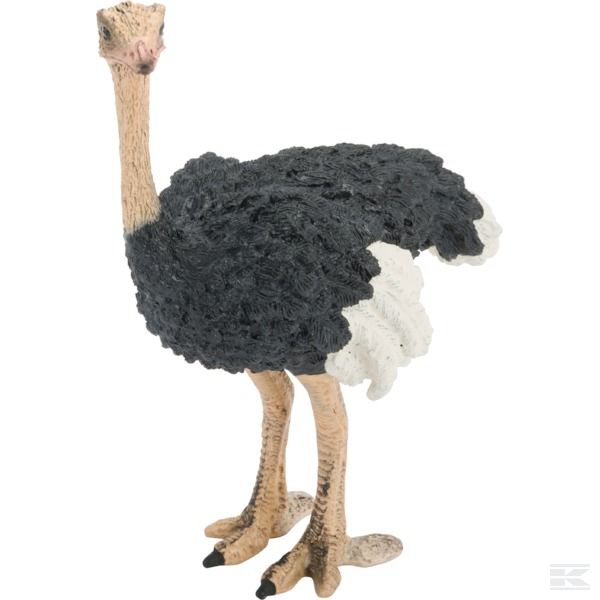 14744SCH +Ostrich