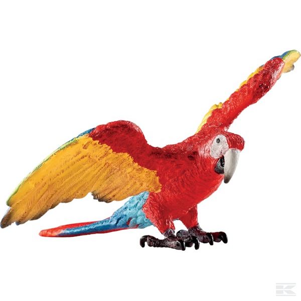 14737SCH +Macaw