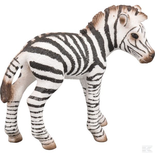 14393SCH +Zebra foal