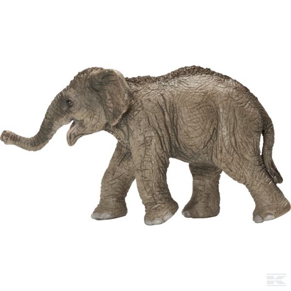 14655SCH +Asian elephant calf