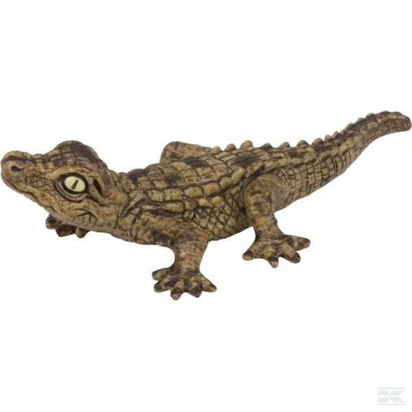 14683SCH +Baby crocodile