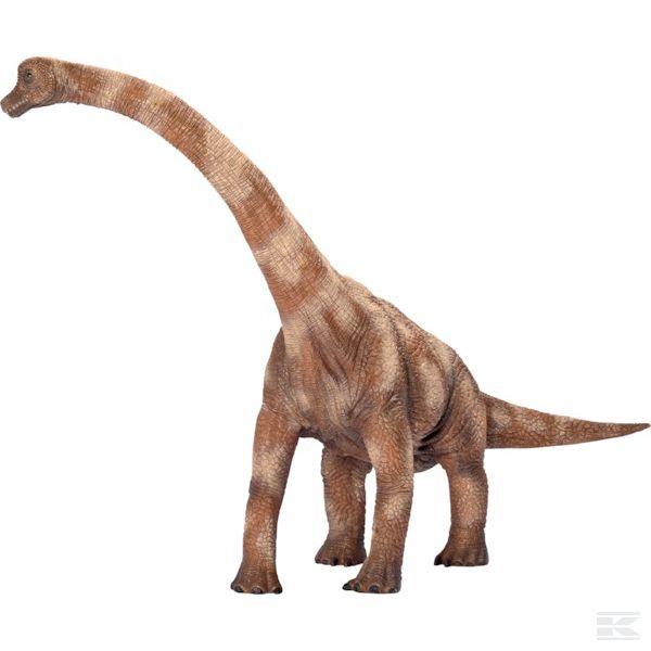 14515SCH +Brachiosaurus