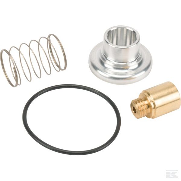 260249050 +Intake valve kit