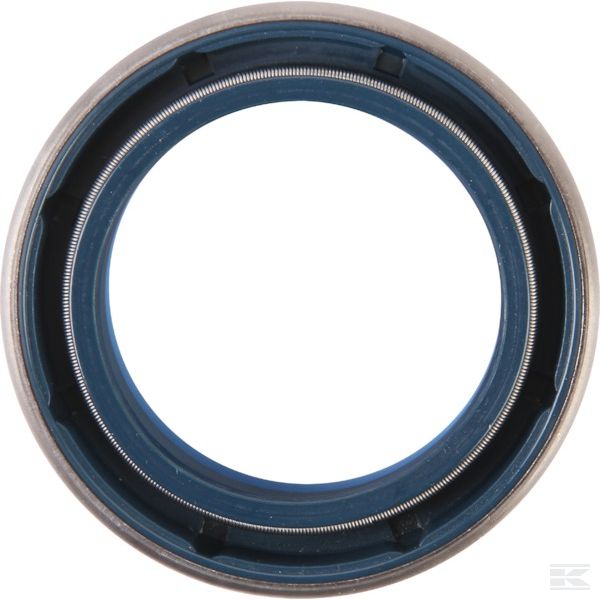 000051726 +Seal Ring