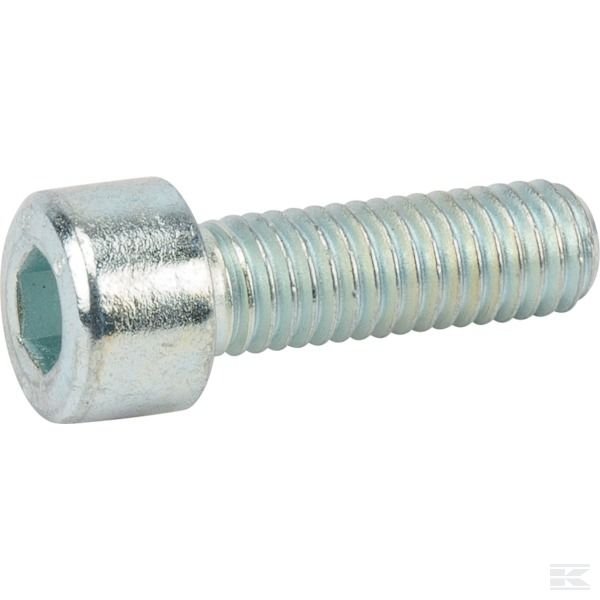 0010138 Винт с цилинд. головкой M8x25