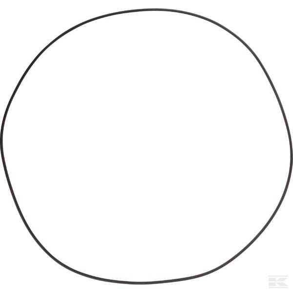 001053338 +O ring