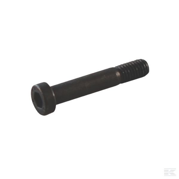 AK401485 Винт с внутренним шестигранником Profi 102