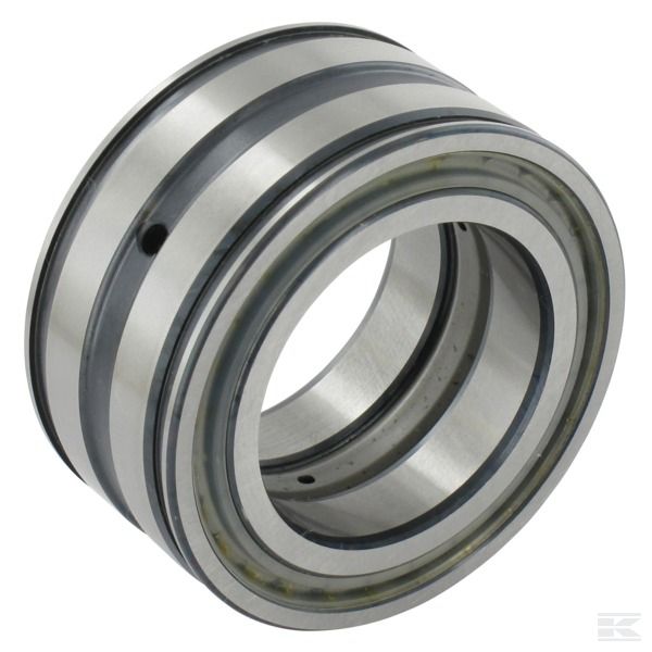 SL045013PP Роликоподшипник цилиндра