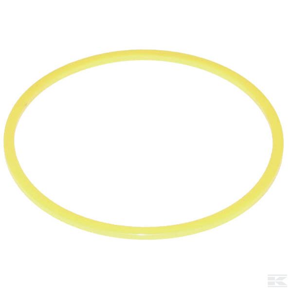 BU18987534 Опорное кольцо 189,87x5,34 e=1,7