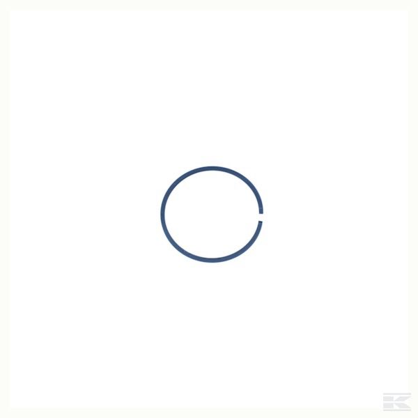 NWS01019 +Piston seal