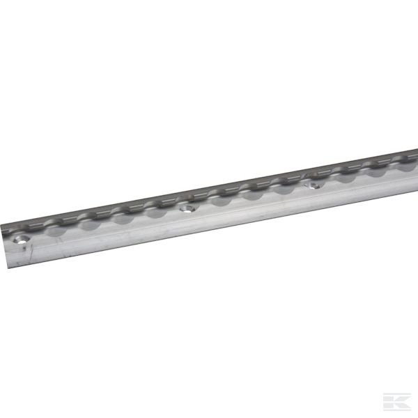 LS10065 +Lashing rail 3 m semicircular