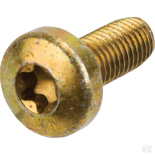 8112190279 +Screw m10-25 torx