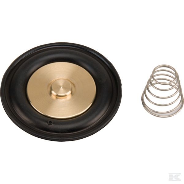 ESPSV008 +Diaphragm set