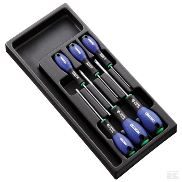 E194941 Модуль с 6 отвертками Torx®