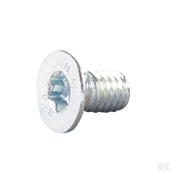 E05845ASM Винт с потайной головкой внутр. торкс M6x10-8,8 оцинков