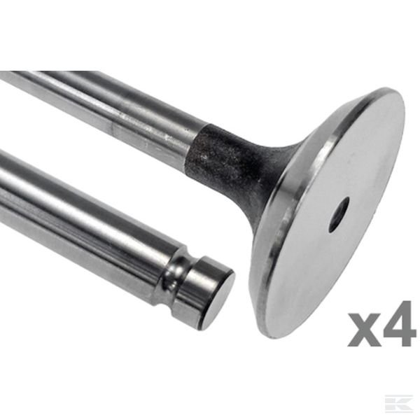 VPA1026 +Exhaust valve