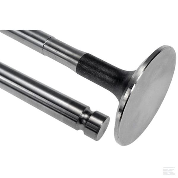 VPA1044 +Exhaust valve