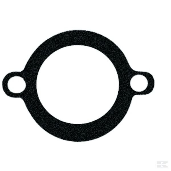 VPE3920 +Thermostat housing gasket