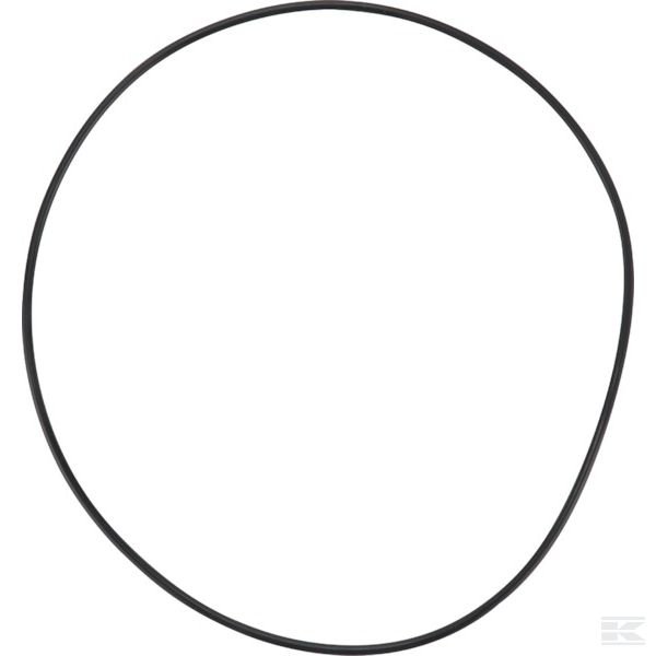 6000128508 Кольцо круглого сечения