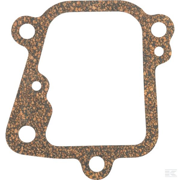 41700290500 +Gasket