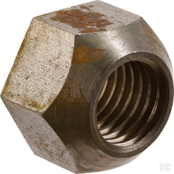 41657331801 +Nut