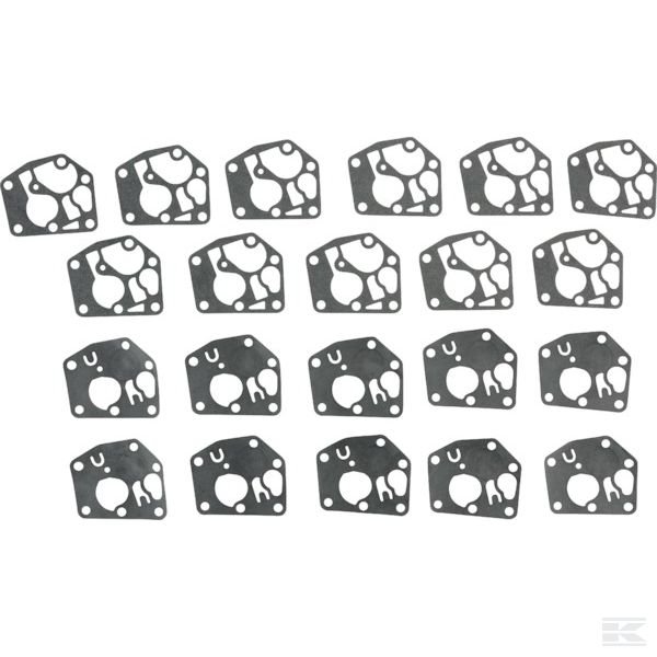 4251WM +Bulkpac Gasket (10x 795083)