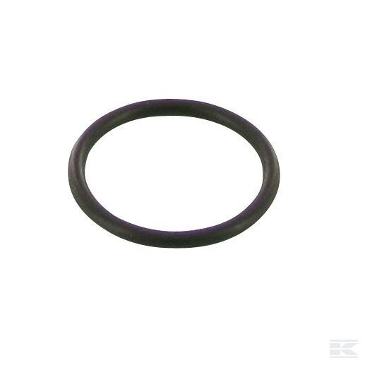 3057400R1 Кольцо круглого сечения впускного газопровода Case - IH