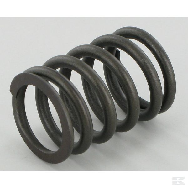 3055060R1N Пружина клапана Case - IH
