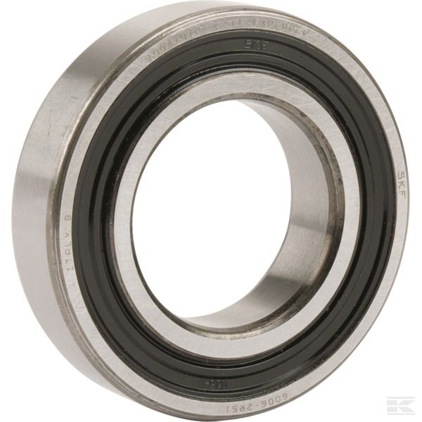 300401011 +Bearing 6006-2RS