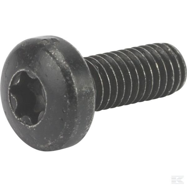 1127278020 +Screw torx