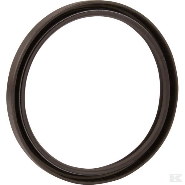 10002036 +Oil Seal Rear