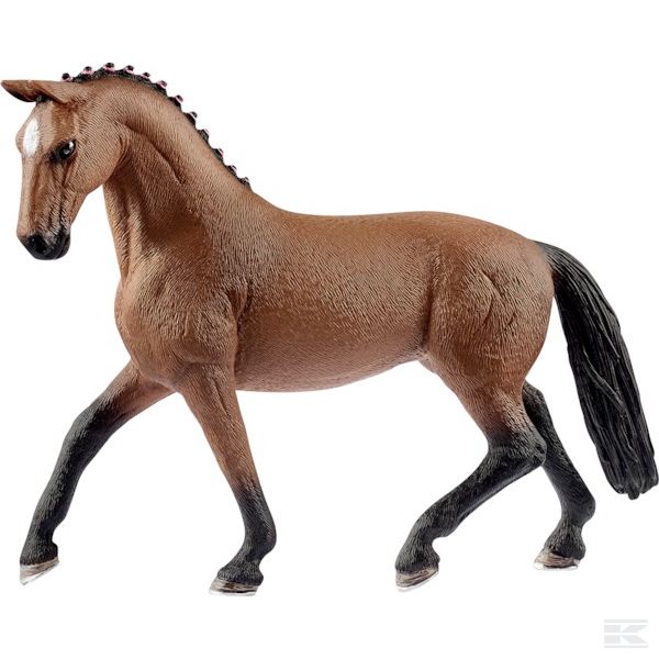13817SCH +Hanoverian mare