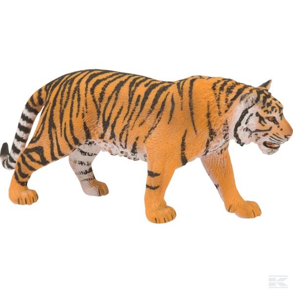14729SCH +Tiger
