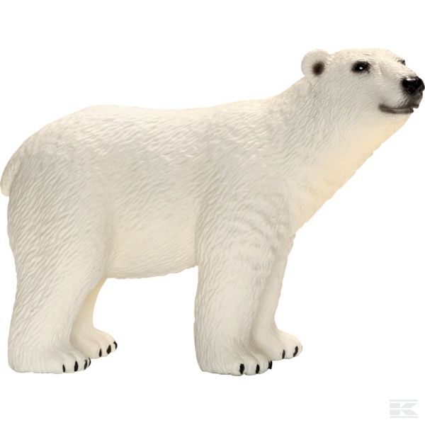 14659SCH +Polar bear