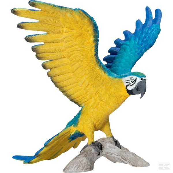 14690SCH +Blue-and-yellow Macaw